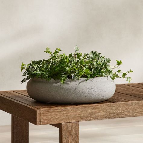 Ronan Bowl Indoor/Outdoor Planter | West Elm Modern Planters Outdoor, Rectangle Planters, Bowl Planter, Trough Planters, Concrete Bowl, Patio Planters, Indoor Outdoor Planter, Terracotta Planter, Modern Planters