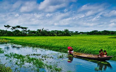 Bangladesh Sonargaon Rice Fields Beautiful Landscape Country In South Asia Lush Vegetation Foliage Desktop Hd Wallpaper 1920×1200 #1080P #wallpaper #hdwallpaper #desktop Bangladesh Travel, Dog Friendly Vacation, Beautiful Bangladesh, Village Photos, Background Wallpapers, Landscape Photography Nature, Dr Strange, South Asia, Countries Of The World