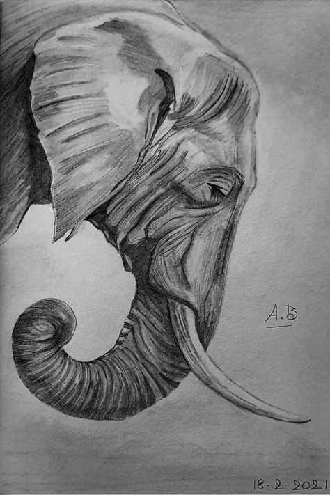 Animal Sketches Easy, Elephant Sketch, Mural Art Design, Bull Painting, Elephant Drawing, Elephant Art, Pencil Art Drawings, Animal Sketches, Book Art Drawings