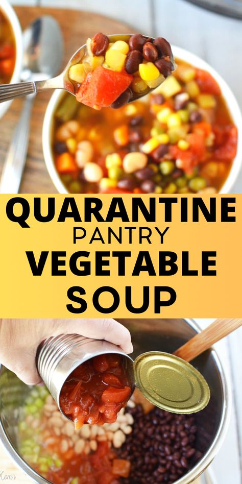 Vegetable Soup From Cans, Vegetable Soup Recipes Using Canned Vegetables, Veggie Soup With Canned Veggies, 8 Can Vegetable Soup, Soup From Canned Goods, Easy Vegetable Soup With Canned Vegetables, Dump Can Soup Recipes, Quick And Easy Veggie Soup, Ten Can Soup Recipe