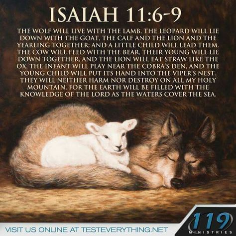 🎚 Isaiah 11:6-9 119 Ministries, Fb Pic, Isaiah 11, Oswald Chambers, Isaiah 9, Spirit Of Truth, Lion And Lamb, Motivational Quotes For Students, Old And New Testament