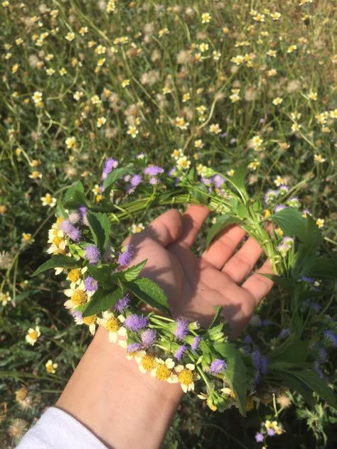 Weed crown natural flower Flower Crown Picnic, Flower Crowns Aesthetics, Flower Crown Aesthetic, Clover Crown, Making Flower Crowns, Crown Aesthetic, Festival Aesthetic, In Aesthetic, Aesthetic Blue