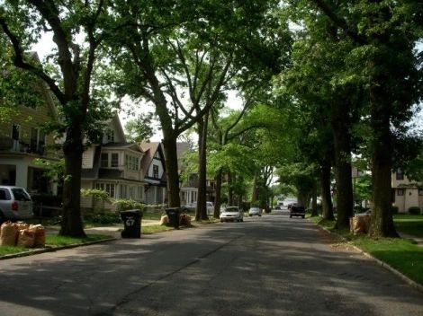 Tree Lined Street, Street Trees, Small Town Life, Suburban House, Scenic Photos, Tree Line, American Cities, House Goals, Growing Tree