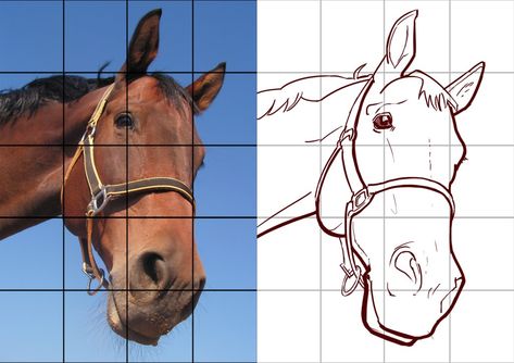 Your First Week of Drawing: Grid Drawing – Colour Cow Animal Sketches Easy, Head Proportions, Falcon Art, Drawing Grid, Grid Drawing, Basic Sketching, Horse Art Drawing, Art Assignments, Kerala Mural Painting