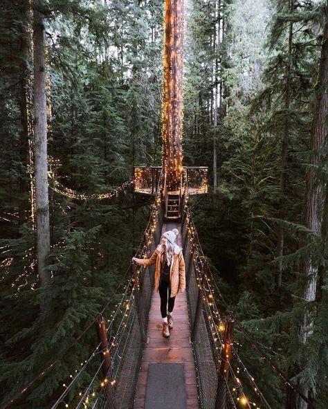 Capilano Suspension Bridge, Fall Road Trip, Suspension Bridge, Outdoor Lover, Us National Parks, Travel Insurance, Outdoor Travel, In The Woods, Wonderful Places