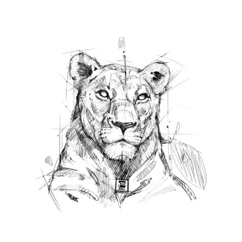 Leoa Animal Drawing Inspiration, Lion Sketch, Lion Drawing, Simple Drawings, Animal Drawings Sketches, Desenho Tattoo, Lion Art, Lion Tattoo, Animal Sketches