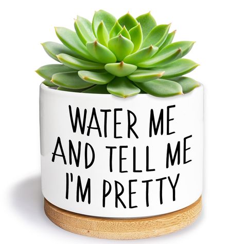 PRICES MAY VARY. 【 Small Ceramic Plant Pots】 - Perfect for holding miniature succulent, herb and cactus plants. --- Plants are NOT included. 【Dimension】 - 3.5*2.8 inches. A small Drain Hole on the Bottom; Pack with Bamboo Tray. 【 Funny Quotes Design】 - Ideal for windowsill and office table decoration; Perfect Gift for Wedding, Birthday, Christmas, housewarming, Mother's Day gift, etc. 【Exquisite Workmanship】 - Created with sturdy ceramic & handmade printing, A mature manufacturing process. Exper Funny Succulent Pots, Pot Designs Painted, Funny Planters, Succulent Pot Ideas, Funny Plant Pots, Plant Sayings, Plant Funny, Clay Plant Pots, Office Funny