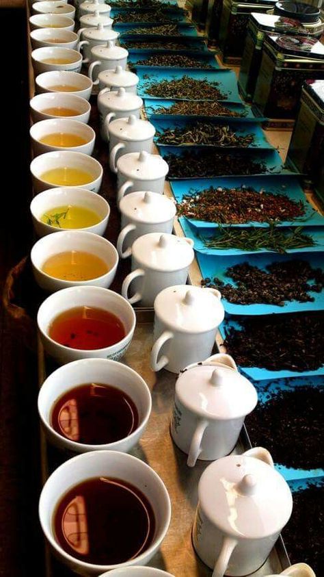 Tea taster Fit Tea, Tea Varieties, Cuppa Tea, Tea Culture, Tea Tasting, Tea Art, Chinese Tea, Loose Tea, Detox Tea