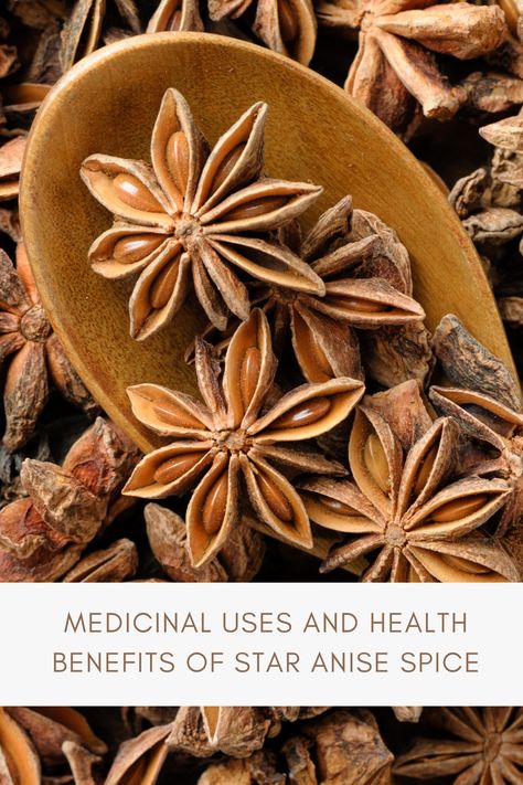 Aniseed Benefits, Star Anise Meaning Witchcraft, Star Anise Spiritual Meaning, Star Anise Jewelry, Star Anise Illustration, Health Benefits Of Star Anise, Star Anise Tea, Chinese Five Spice Powder, Pho Soup