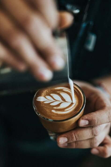 hands pouring latte art in a cortado cup Microwave Dessert, Home Barista, Coffee Latte Art, Firewood Rack, Coffee Barista, Coffee Shop Aesthetic, Firewood Storage, Best Coffee Maker, Chocolate Mug Cakes