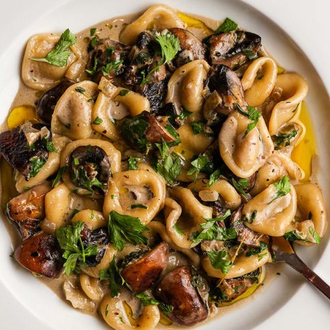 Orecchiette in a creamy white wine and herby mushroom sauce with Yealands Reserve Pinot Gris. | Yealands Creamy Mushroom Pasta Sauce, Mushroom Pasta Sauce, Hearty Food, Mediterranean Foods, Yummy Pasta, Creamy Mushroom Pasta, Creamy Mushroom Sauce, Autumn Recipes, Pinot Gris