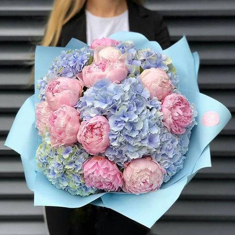 Peonies And Hydrangeas, Aesthetic Garden, Blue Peonies, Hydrangea Bouquet, Garden Aesthetic, Peony Wedding, Flowers Bouquet Gift, Peonies Bouquet, Beautiful Bouquet Of Flowers