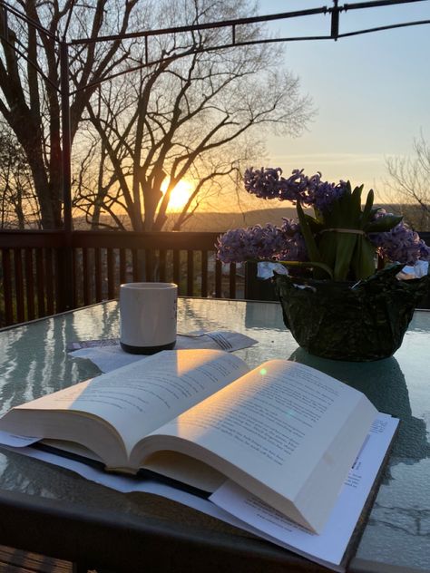 reading by the sunset, on a spring day, with a coffee! whats better than that? Cute Products, Book Vibes, Spring Reading, Dinosaur Mug, Reading Motivation, Reading Spot, Spring Books, Funny Gifts For Her, Reading Aesthetic