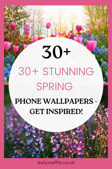 Get ready for spring with these stunning phone wallpapers! 🌸📱 Transform your iPhone with these beautiful spring-inspired backgrounds. From vibrant floral patterns to scenic landscapes, these wallpapers will bring a burst of freshness to your device. Download now and give your phone a colorful makeover! #SpringWallpapers #PhoneWallpapers #WallpapersForiPhone #GetReadyForSpring #DownloadNow Spring Phone Wallpapers, Walking On Broken Glass, Hearth Decor, Capes For Kids, Free Phone Wallpaper, Spring Wallpaper, Spring Aesthetic, Wallpaper For Your Phone, Spring Inspiration