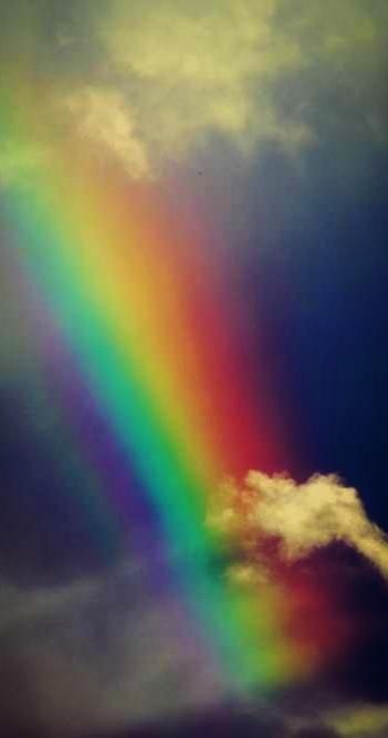 I wish I could fine the pot of gold from this rainbow! Rainbow Promise, Rainbow Images, Happy Rainbow, Rainbow Photography, Rainbow Photo, God's Promise, Rainbow Magic, Rainbow Sky, Spiritual Artwork