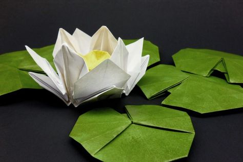 Gallery | Leaf Piece Origami Origami Water Lily, Origami Flowers Diy, Dragon Origami, Origami Lily, White Water Lily, Origami Leaves, Origami Frog, Origami Star Box, Origami For Beginners