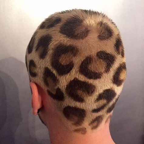 Cheetah Print Hair, Shaved Head Designs, Cheetah Hair, Buzz Cut Hairstyles, Hair Colour Design, Dyed Hair Men, Shaved Hair Designs, Buzzed Hair, Leopard Print Hair