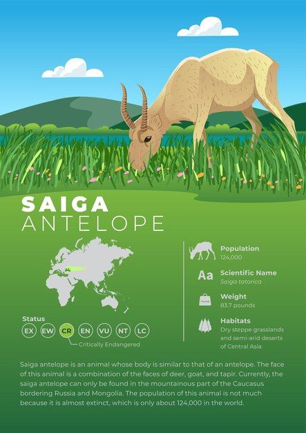 Animal infographic series saiga antelope... | Premium Vector #Freepik #vector #wild-life #wild #antelope #wild-nature Nature Infographic, Wildlife Infographic, Saiga Antelope, Peppermint Narwhal, Zoo Education, Tiger Zoo, Animal Infographic, Animals Information, Animal Conservation