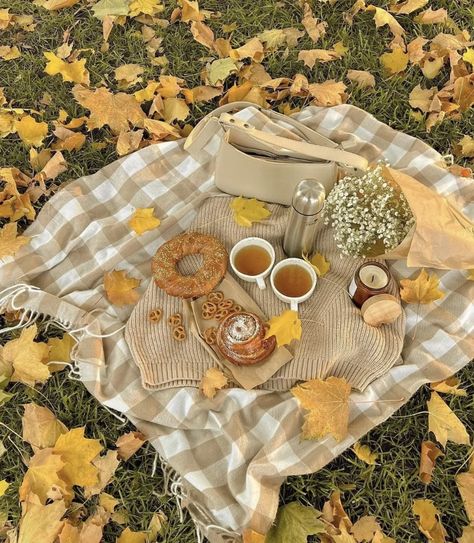 Fall Picnic Aesthetic, Fall Picnic Food, Autumn Aesthetic Halloween, Cottagecore Moodboard, Aesthetic Halloween Wallpaper, Wallpaper Fall Aesthetic, Winter Picnic, Photography Set Up, Fall Picnic