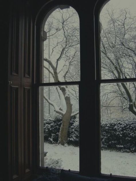 snowy cold dark academia gloomy winter autumn aesthetic Dark Academia Winter, Henry Winter, Aesthetic Dark Academia, Dark Christmas, Remus Lupin, Dark Academia Aesthetic, Aesthetic Dark, The Secret History, Academia Aesthetic