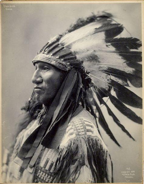 Black Bird Sioux Sioux Indian, Native American Chief, Native American Images, Native American Pictures, Wilde Westen, Native American Photos, Rms Titanic, Indian Chief, American Indian Art