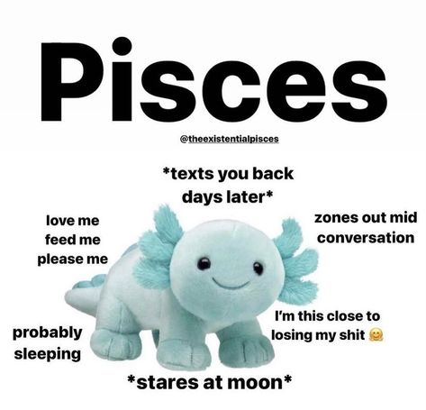 March Pisces Memes, Aquarius X Pisces, Scorpio X Pisces, Feb Pisces, Pisces Humor, Pisces Core, February Pisces, Pisces Vibes, Pisces Funny