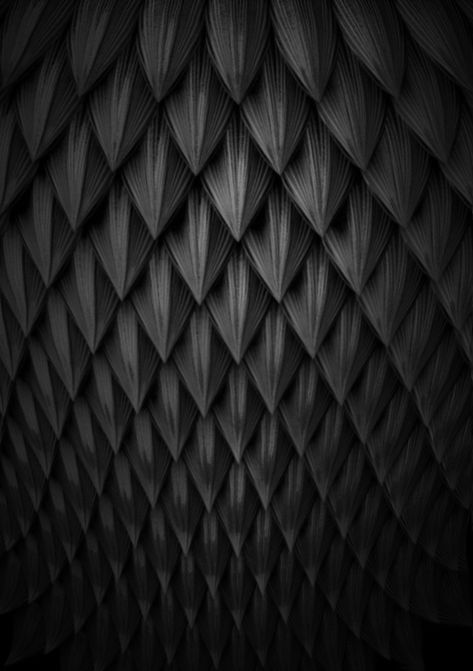 Felix Inclusis — scales by: Gabriel Zambrano Tachisme, Black Textures, Animal Skin, Color Textures, Texture Design, Shades Of Black, Black Is Beautiful, Texture Art, Back To Black