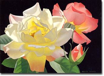 Saper Galleries is the source for Brian Davis botanical and floral paintings Brian Davis, Porcelain Roses, Floral Image, Art Flowers, Rose Art, Watercolor Inspiration, Rose Painting, Watercolor Rose, Calla Lily