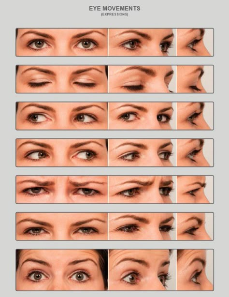 Eye Reference, Eye Study, Eye Expressions, Drawing Face Expressions, Face Anatomy, Expressions Photography, 얼굴 드로잉, Face Drawing Reference, Anatomy For Artists