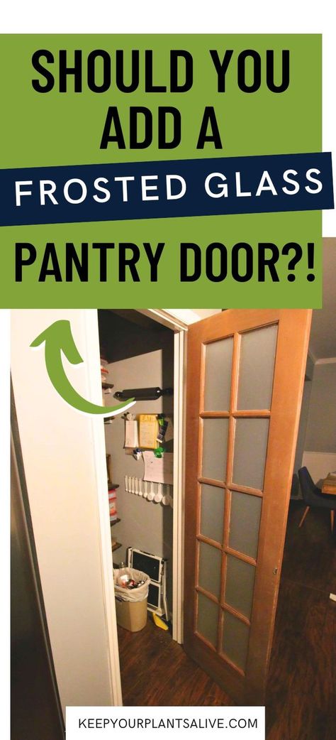 Considering adding a glass door to your kitchen? Here are some of the pros and cons of frosted pantry doors! Frosted Glass Pantry Door, Wooden Pantry, Kitchen Pantry Doors, Pantry Space, White Pantry, Glass Pantry Door, Glass Pantry, Organized Pantry, Frosted Glass Door