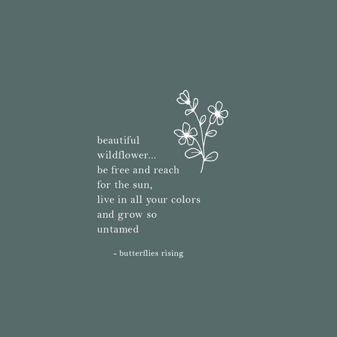 Be A Wildflower Quote, Wild Daughter Quotes, Flower Field Quotes, Wildflower Quotes Short, Wildflower Quotes, Wild And Free Quotes, Flower Lyrics, Wild Flower Quotes, 2024 Bujo