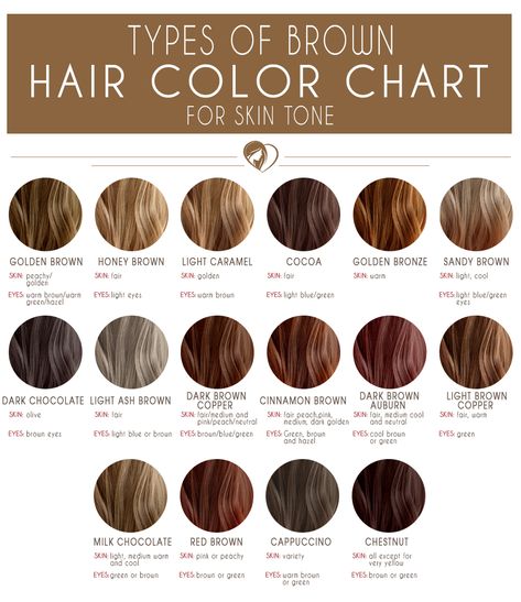 Medium Brown Hair Color Chart #brunette #brownhair  Capuchino  and Chestnut Types Of Brown Hair, Types Of Brown, Brown Hair Color Chart, Hair Color 2017, Medium Brown Hair Color, Golden Brown Hair, Brown Hair Shades, Hair Codes, Medium Brown Hair