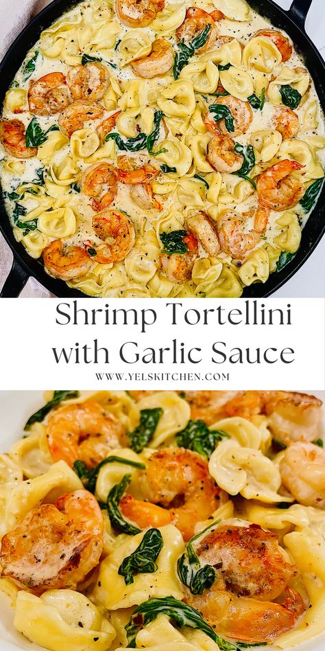 Shrimp Pesto Tortellini, Cream Spinach Tortellini Shrimp, Creamed Spinach Tortellini With Shrimp, Shrimp Spinach Tortellini, Cajun Shrimp Tortellini, Cheese Tortellini With Shrimp, Scallop Tortellini Recipes, Shrimp And Chicken Tortellini, Ravioli Recipe With Shrimp