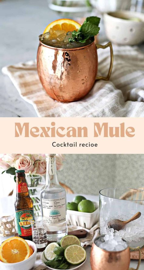 Mexican Mule Cocktail Texas Mule Cocktail, Mexican Mule Recipe, Strawberry Margarita Jello Shots, Mexican Mule, Baileys Irish Cream Recipes, Irish Cream Recipe, Mexican Cocktails, Homemade Margaritas, Peach Margarita