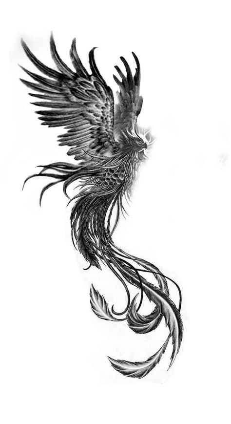 Phoenix Tattoo Back Of Leg, Phinex Bird Tattoo, Phoniex Tattoo Design, Realistic Phoenix Tattoo, Phoenix Tattoo Design Men, Fantasy Tattoo Sleeve, Feniks Tattoo, Phoenix Tattoo Men, Phoenix Tattoo Sleeve