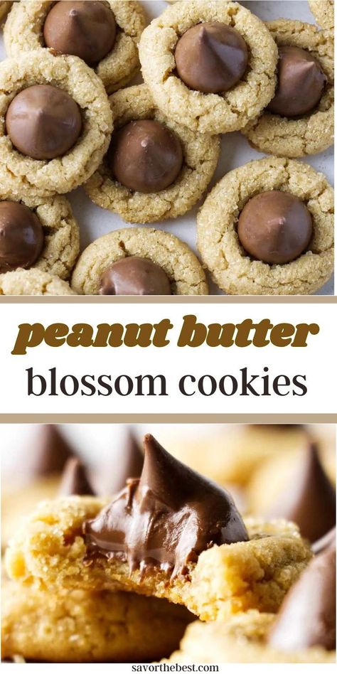 Get ready to put those Hershey’s kisses to work with this classic cookie recipe. Soft, chewy peanut butter cookies topped with a chocolate kiss—because every cookie deserves a crown, right? Toll House Super Soft Peanut Butter Cookies, Top Rated Peanut Butter Cookies, Peanut Kiss Cookies, Peanut Butter Cookie With Hershey Kiss, Reese’s Peanut Butter Cup Cookie Recipe, Kisses Cookies Recipe, Kiss Cookies Hershey, Hersheys Kiss Cookies, Peanut Butter Kiss Cookie Recipe