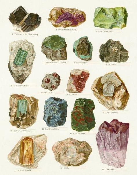 Mineral Chart, Minerals Art, Desert Southwest, Crystal Aesthetic, Geology Rocks, Deco Retro, Vintage Poster Art, Minerals And Gemstones, Art Collage Wall