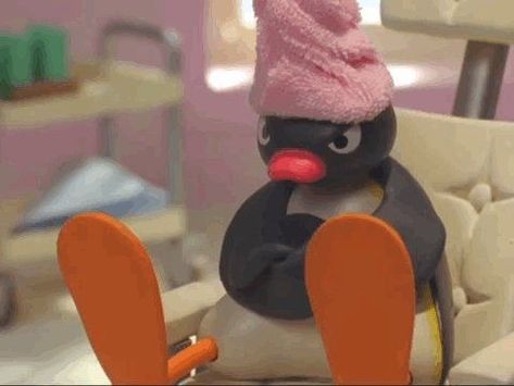 Circular Pfp, Pingu Memes, Pingu Pingu, Noot Noot, 밈 유머, Cartoon Memes, Cute Memes, Wholesome Memes, Funny Reaction Pictures