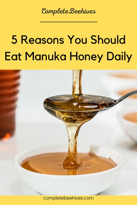 Manuka honey health benefits include improved digestion, better oral health, soothing cough and sore throat, preventing gastric ulcers, and providing an energy boost. The daily dosage of manuka honey is about 1 tablespoon. Manuka Honey Recipe, Honey For Cough, Benefits Of Manuka Honey, Honey Health Benefits, Manuka Honey Benefits, Nutritionist Dietitian, Honey Diy, Best Honey, Healthy Choice