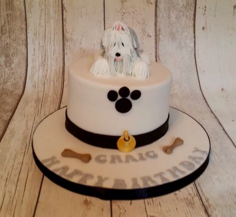 English Sheepdog, Old English Sheepdog, Novelty Cakes, Old English, Celebration Cakes, 4th Birthday, Cake, Birthday