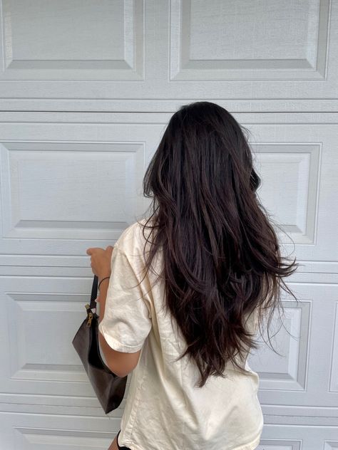 Long Dark Hair Layers Straight, Brown Long Layers Hair, V Haircut Long Layers, V Haircut With Long Layers, Deep V Layered Haircut, Women Haircut Long Hair, Haircut Layers Long Straight, Medium Long Haircut Thick Hair, Long Layered Haircuts Dark Hair