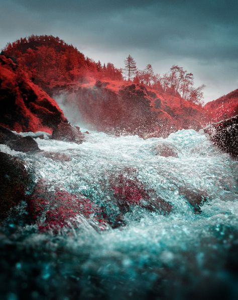 I Made A Lens Filter To Recreate The Kodak Aerochrome Filmic Look With A Modified Digital Camera. Ir Photography, Red Nature, Infrared Photography, Photography Filters, French Photographers, World Best Photos, Fantasy Landscape, Digital Photography, Film Photography