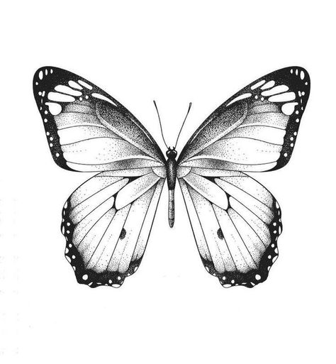 Butterfly Stencil Tattoo, Tattoo Papillon, Realistic Butterfly Tattoo, Borboleta Tattoo, Butterfly Tattoos Images, Butterfly Tattoo Stencil, Unique Butterfly Tattoos, Tattoo Shading, Butterfly Stencil