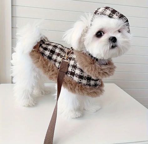 Haute Couture, Canela, Cute Dog Outfits, Dog Clothes Patterns Sewing, Dog Fashion Clothes, Harness For Dogs, Cute Dog Toys, Dog Outfits, Spoiled Dogs