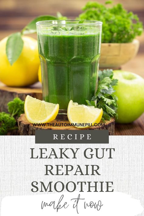 Leaky gut repair smoothie recipe Smoothies For Leaky Gut, Candida Diet Smoothie Recipes, Smoothies For Gut Healing, Healthy Gut Smoothies, Gut Reset Smoothie, Leaky Gut Smoothie Recipes, Candida Smoothie Recipes, Leaky Gut Breakfast Ideas, Prebiotic Smoothies