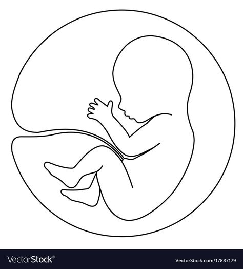 Baby In Womb Drawing, In Utero Drawing, Womb Drawing, Baby In Womb, In Utero, Pregnancy Art, Belly Painting, Baby Drawing, Line Art Design