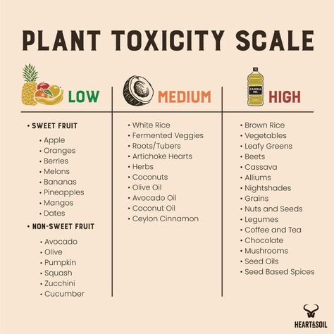 Heart And Soil Diet, Carnivore Diet Veggies, Animal Based Diet Benefits, Heart And Soil Supplements, Animal Based Carnivore, Carnivore Quotes, Animal Based Grocery List, Animal Based 30, Fruit And Meat Diet