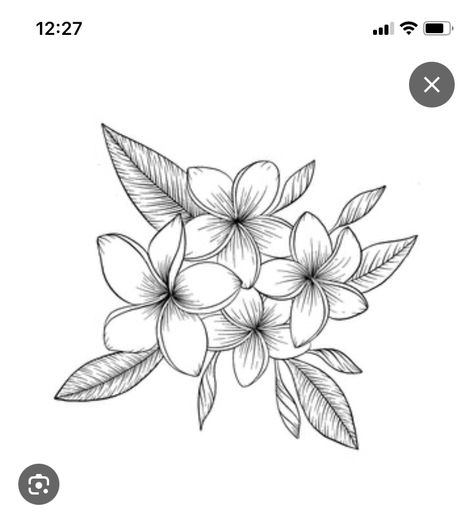 Hawaiian Flower Sketch, Tiare Flower Drawing, Plumeria Flower Tattoos Hawaii, Plumeria Tattoos For Women, Guam Drawings, Frangipani Flower Drawing, Fine Line Frangipani Tattoo, Frangipani Flower Tattoo, Plumeria Flowers Tattoo