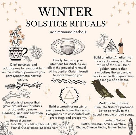 A N I M A M U N D I Apothecary on Instagram: “This solstice weekend is quite an astronomical spectacle! The age of Aquarius is here ✨Jupiter enter aquarius, to join Saturn 🪐 TODAY…” Solstice Traditions, Winter Solstice Rituals, Winter Solstice Party, Winter Solstice Traditions, Winter Solstice Celebration, Solstice Party, Solstice Celebration, Wiccan Magic, Witchcraft Spell Books