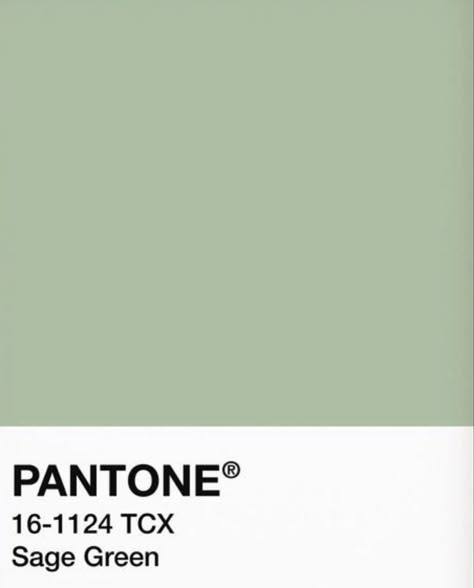 Pantone Sage Green Colour Palettes, Room Color Ideas Sage Green, Pantone Colors Sage Green, Sage Pantone Color, Sage Green Pantone Colour Palettes, Sage Green Paint Swatch, Matcha Green Paint, Sage Green Color Swatch, Pastel Green Pantone